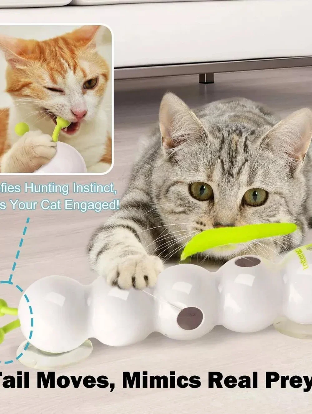 All For Paws new box